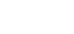 logo bianco di Virality System